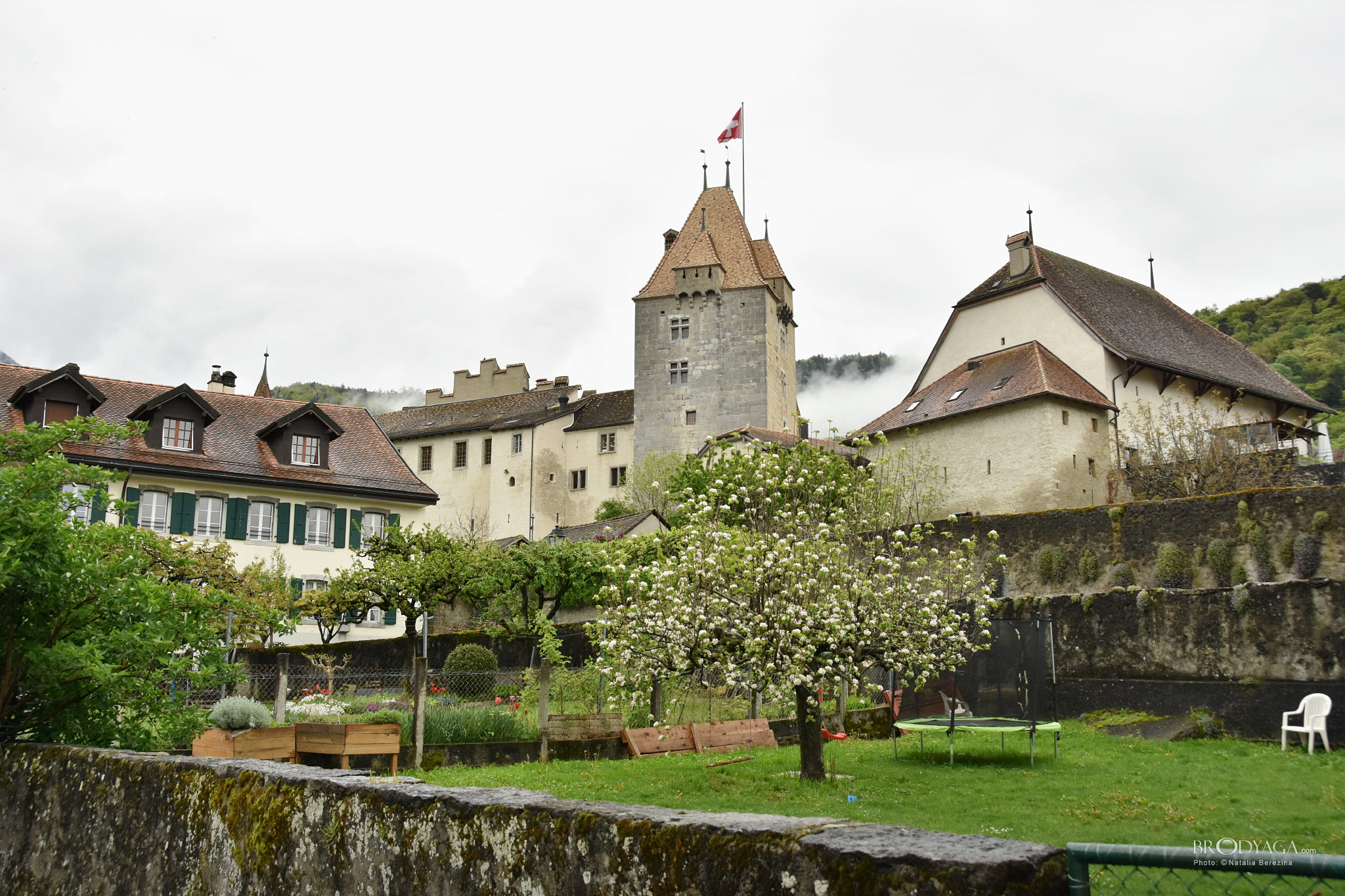 Aigle